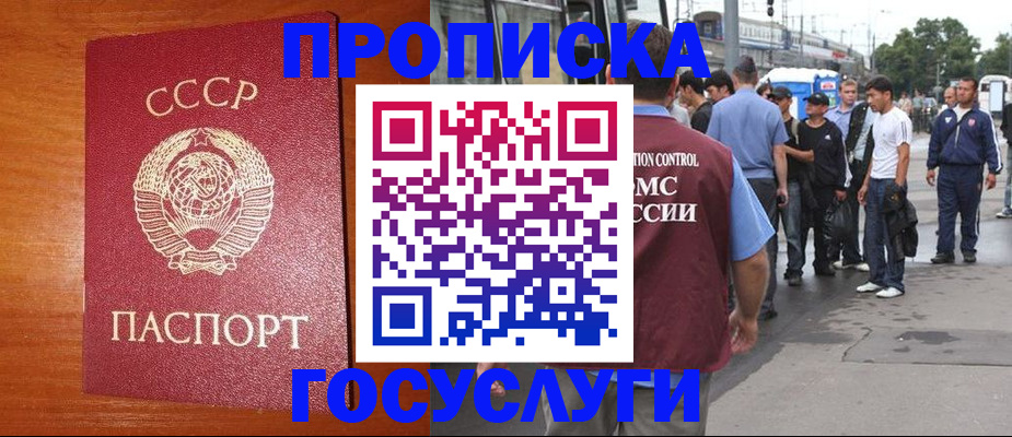 прописка гарантия в Саранске